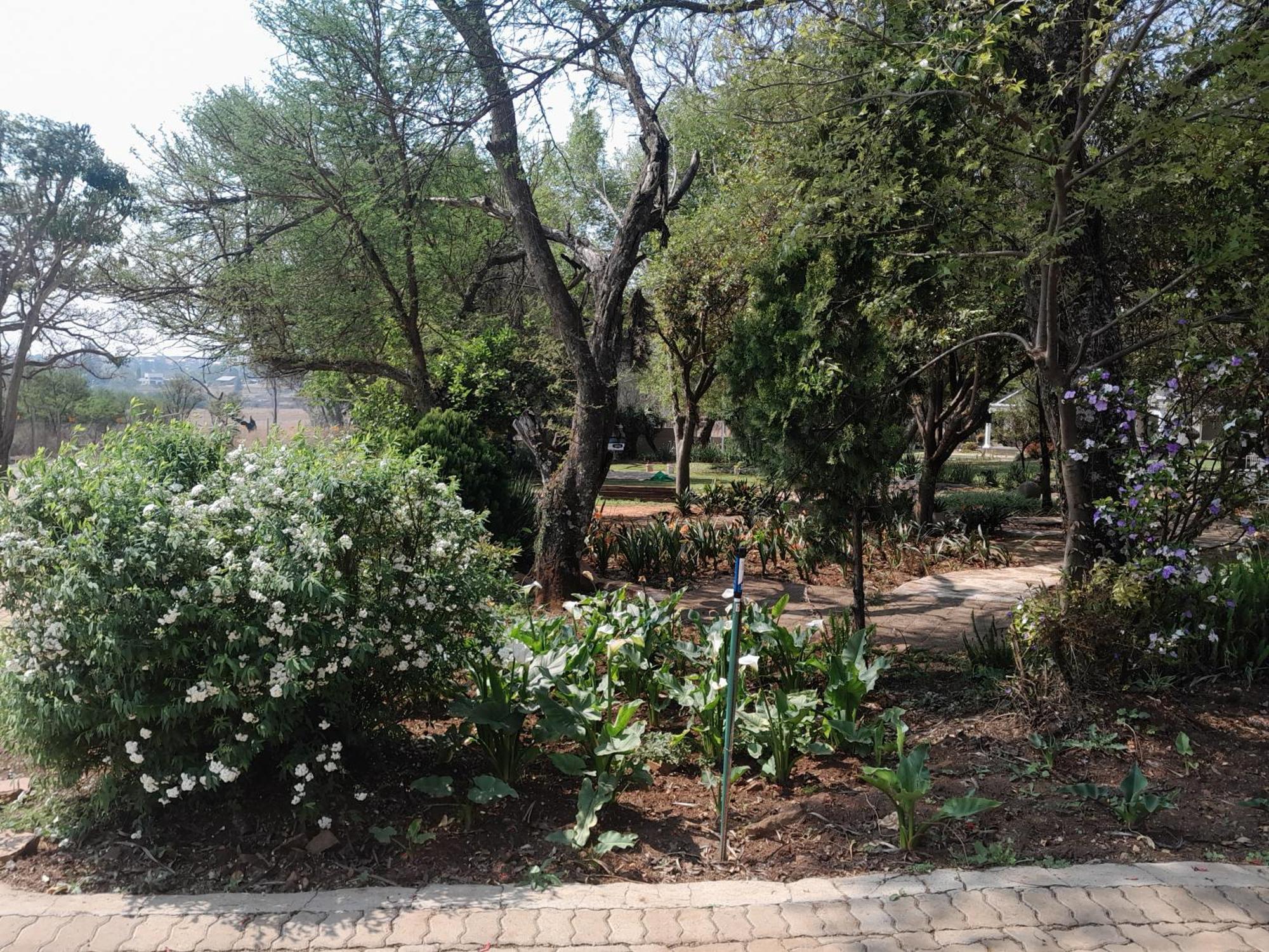 Longtom Farm Guesthouse Lydenburg Eksteriør billede